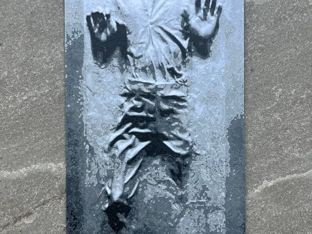 Han Solo Carbonite (Filament Painting)