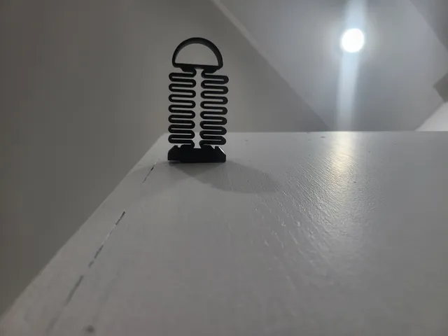 Door spring