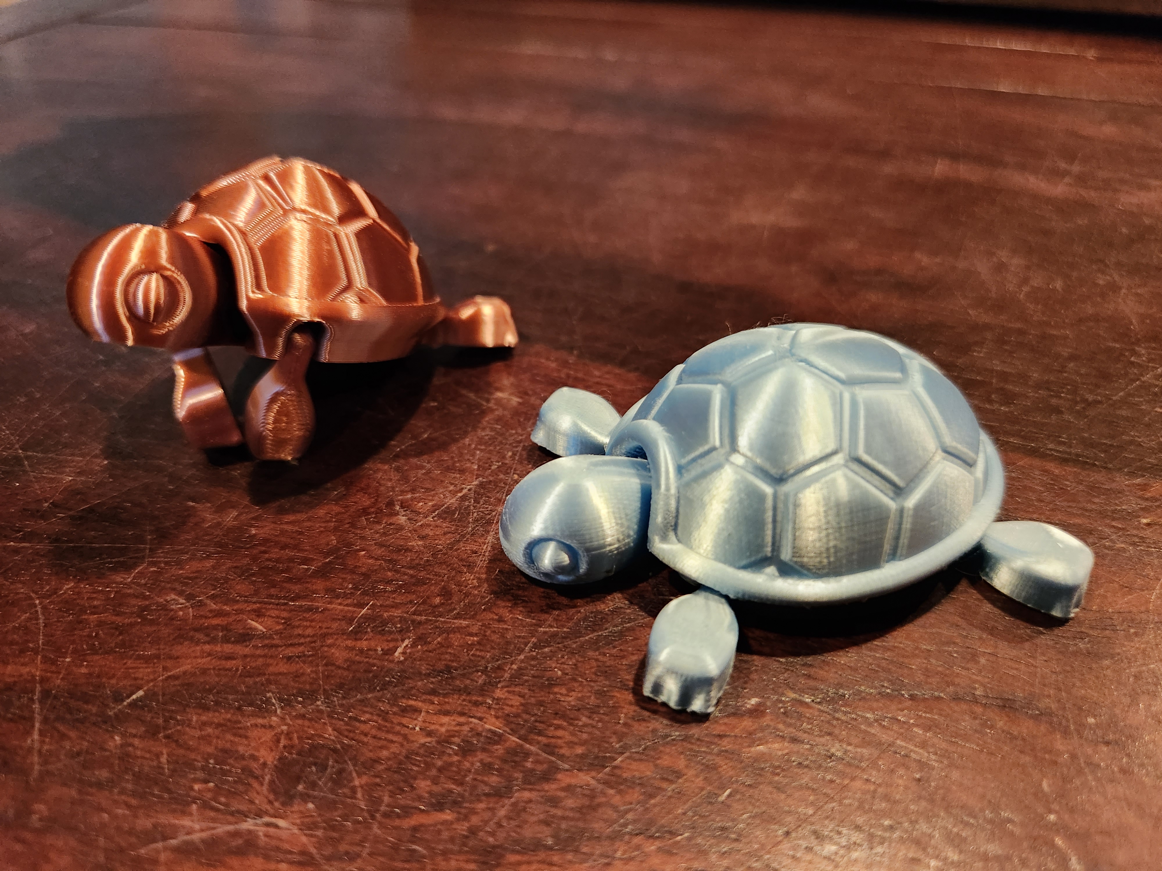 Cutie Baby Turtle — thumbnail 10
