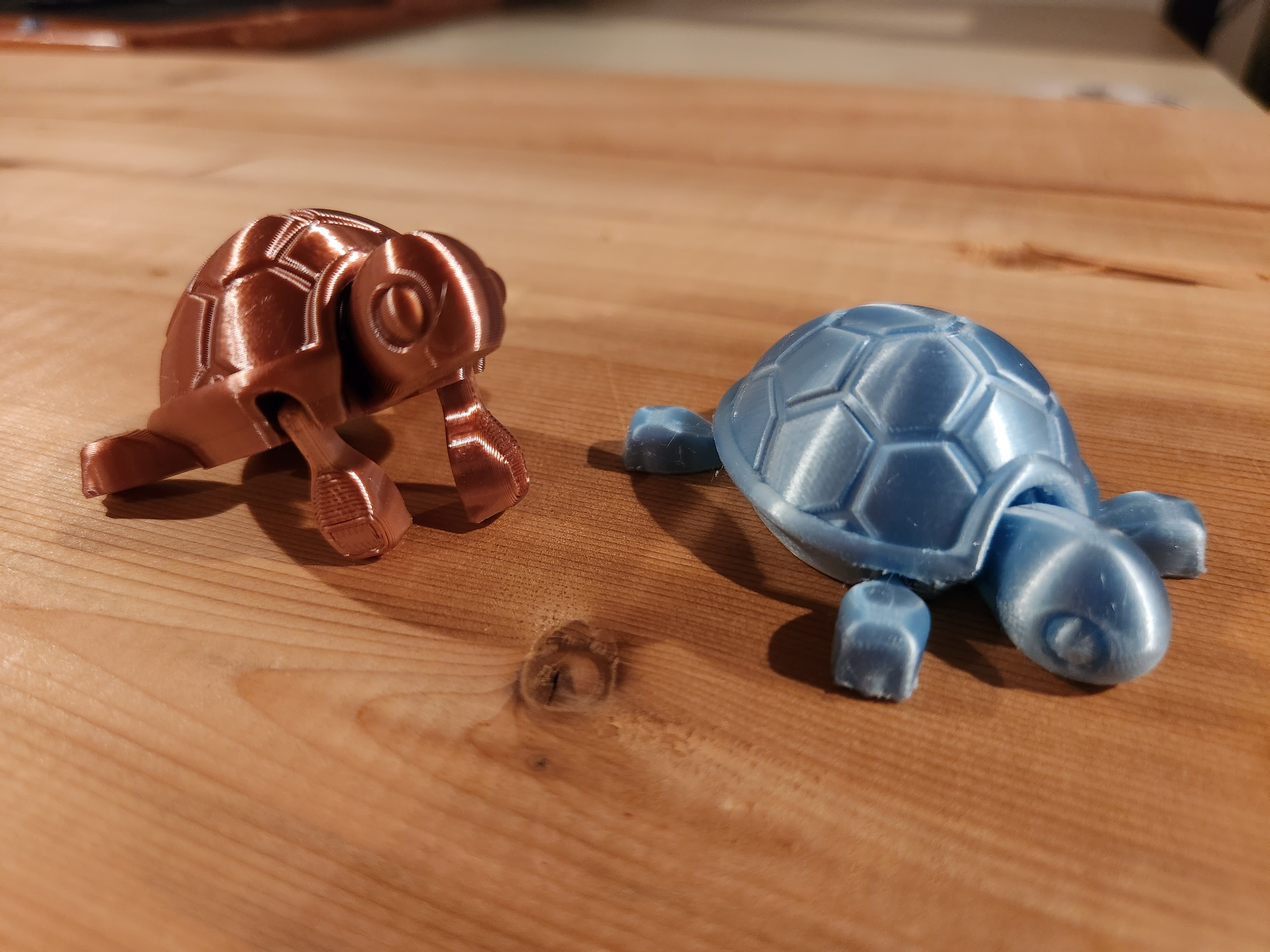 Cutie Baby Turtle — thumbnail 5