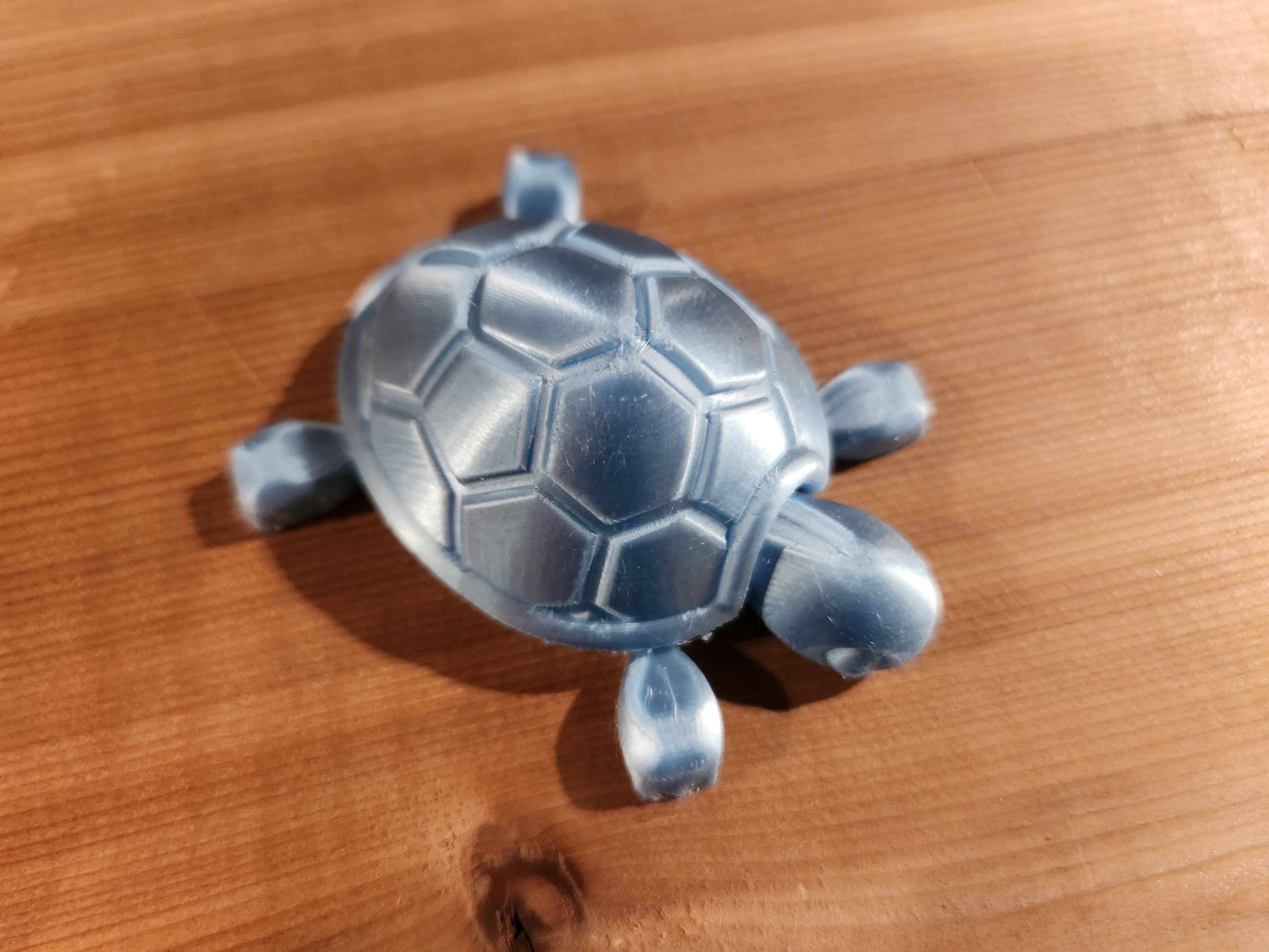 Cutie Baby Turtle — thumbnail 6