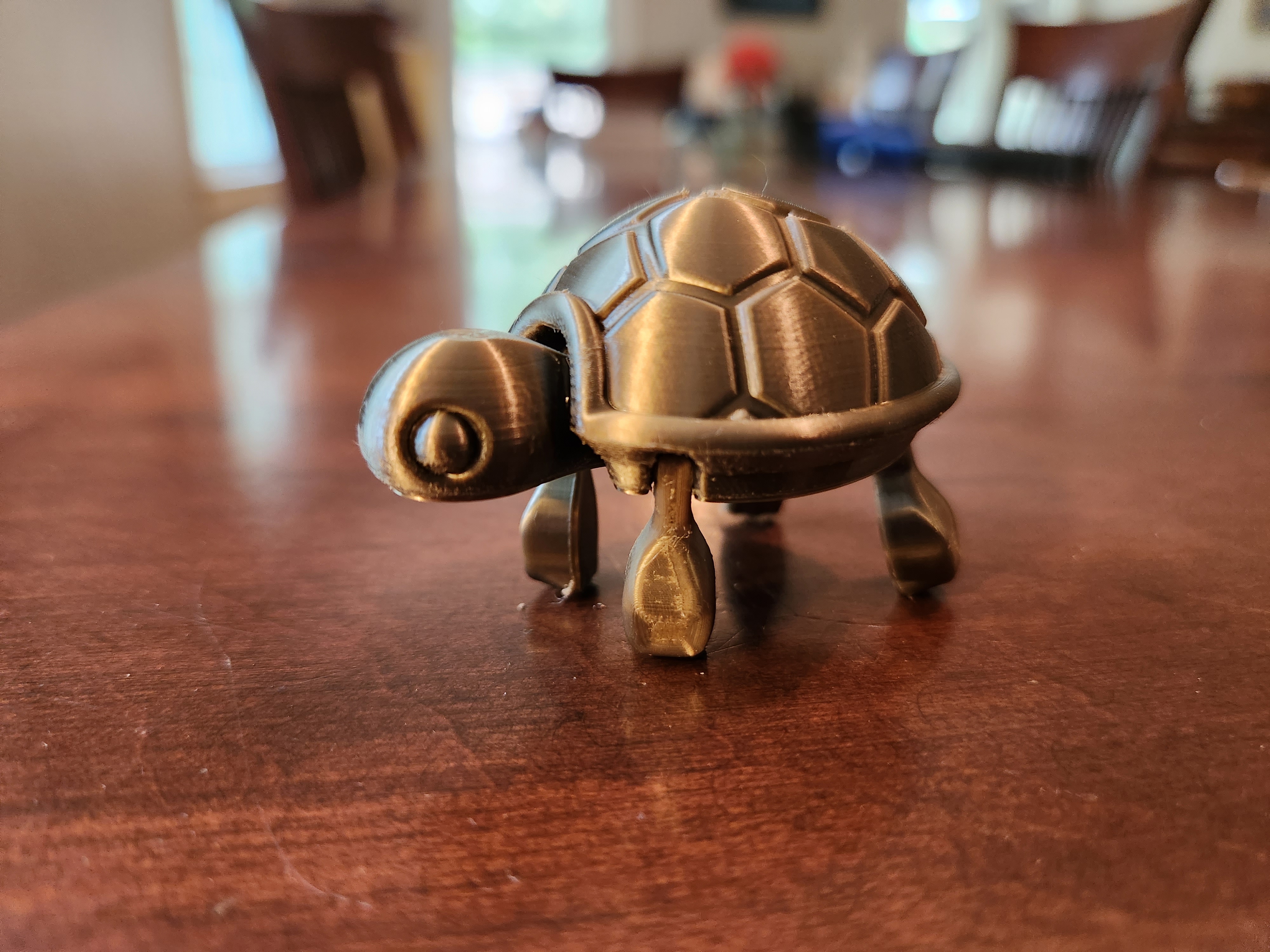 Cutie Baby Turtle — thumbnail 7