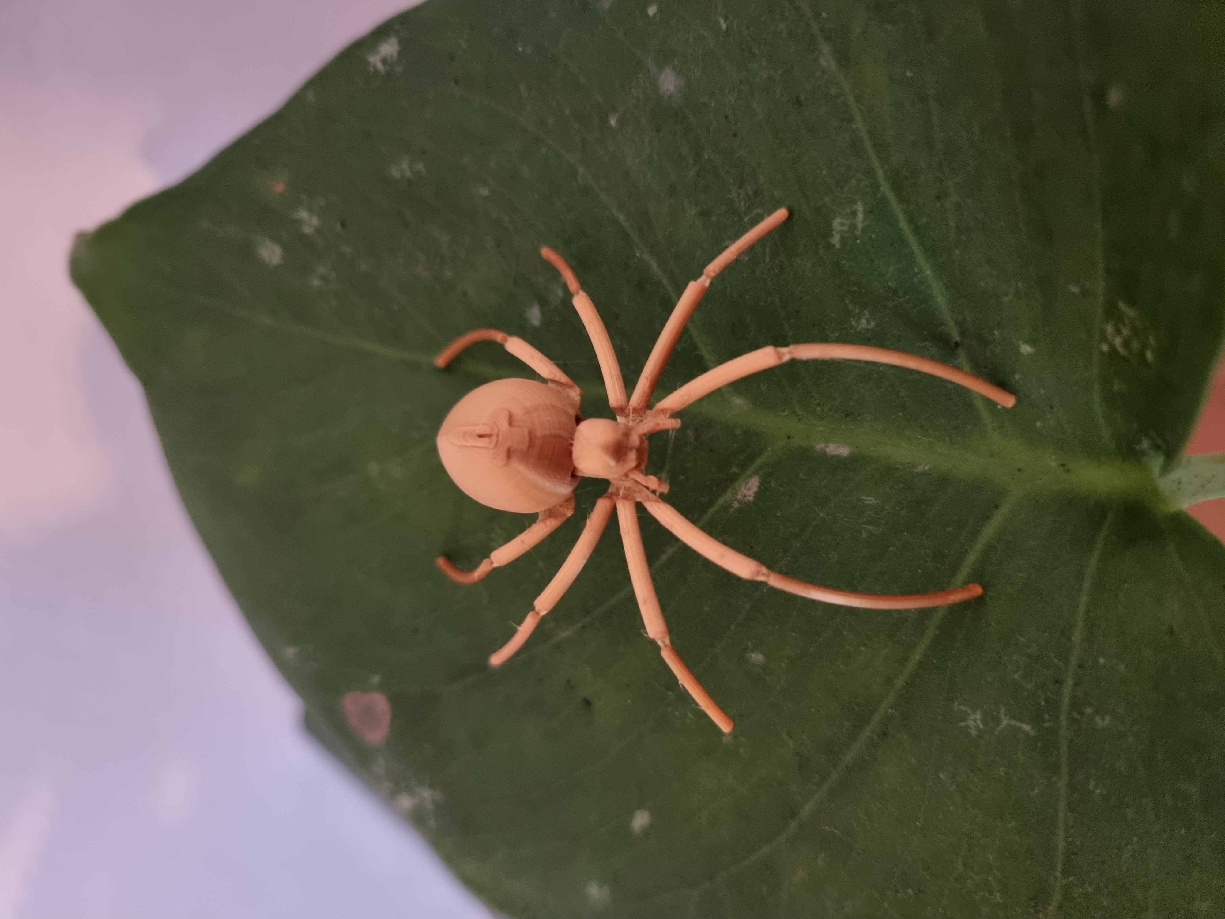 Miniatura 4 do modelo 3D Flexi Spider
