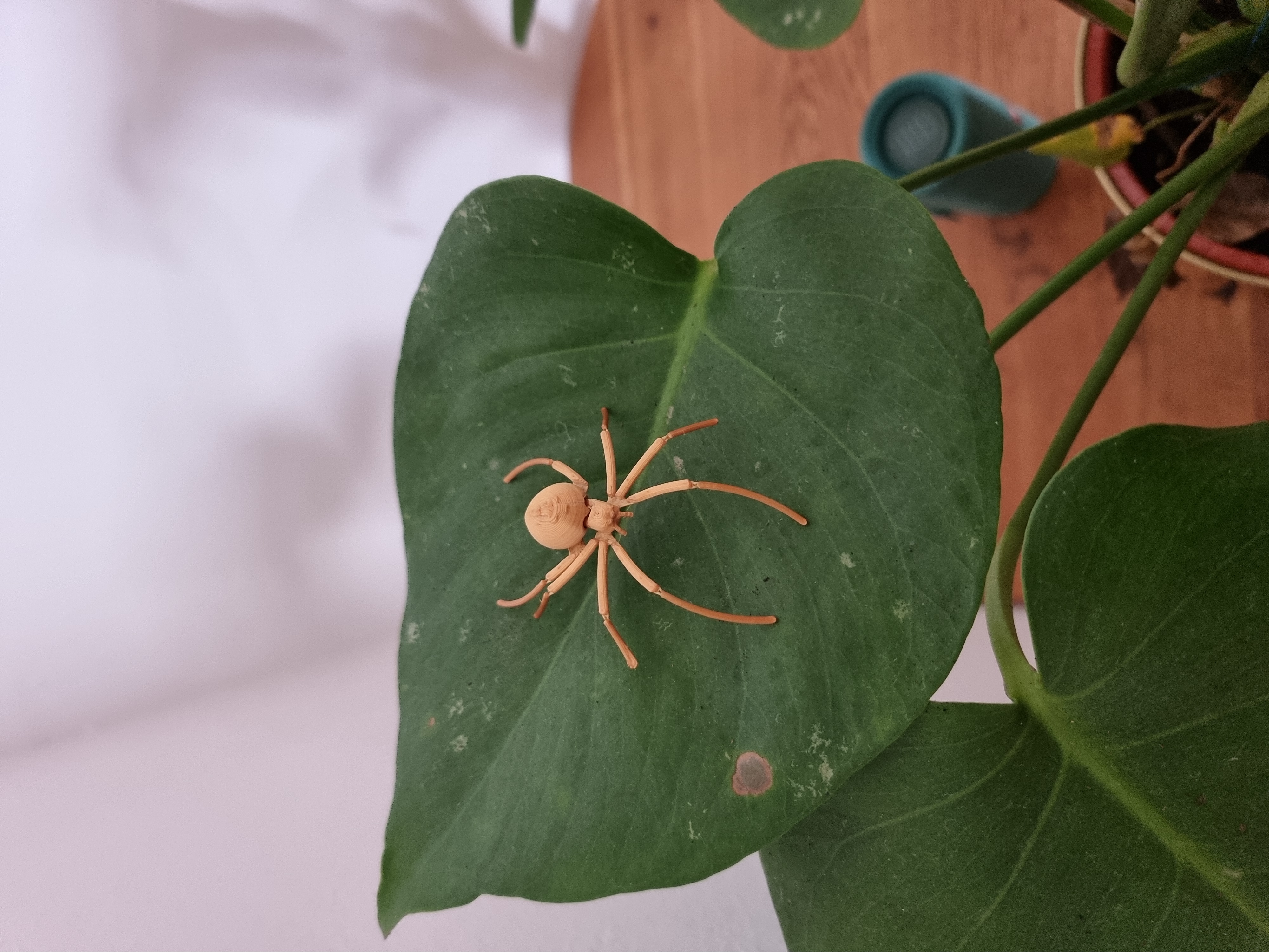 Flexi Spider 3D model thumbnail