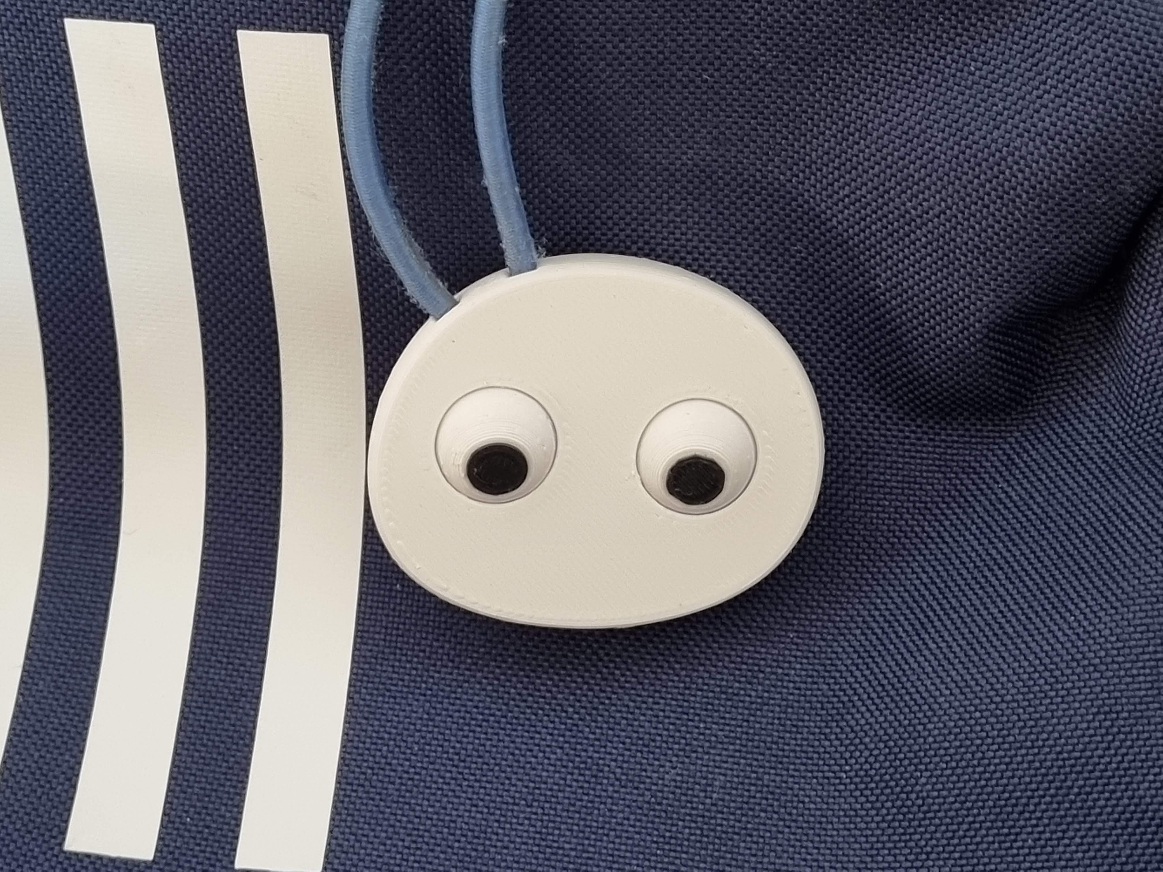 Googly Eyes Pebble
