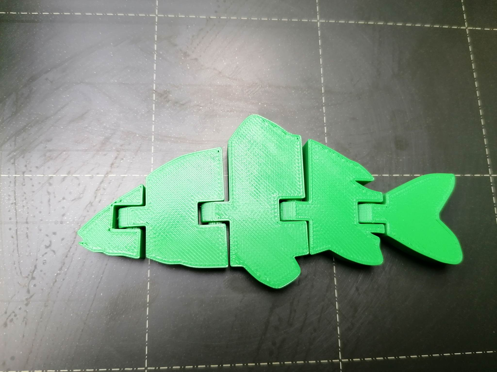 Flexi fish (carp)