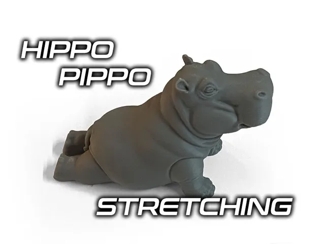 Hippo Pippo Stretching