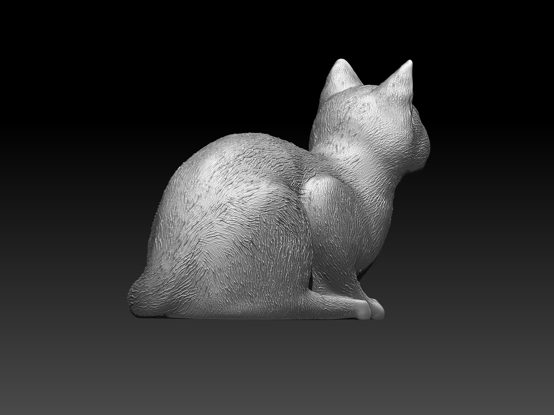 cats — thumbnail 6