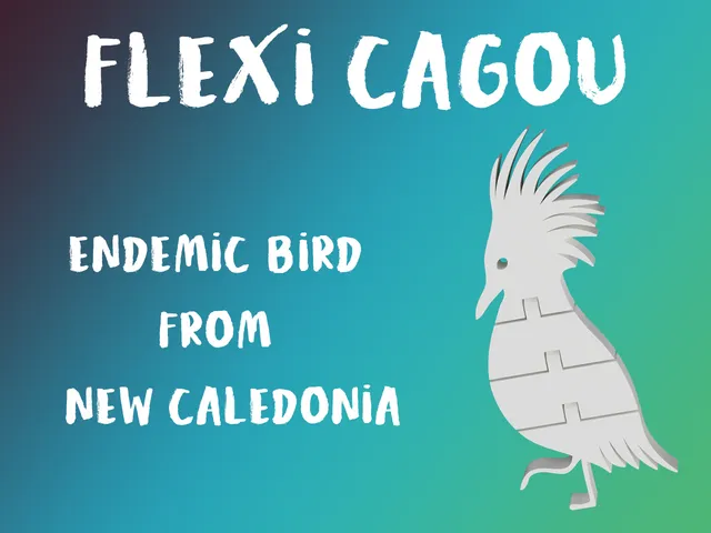 Flexi Cagou