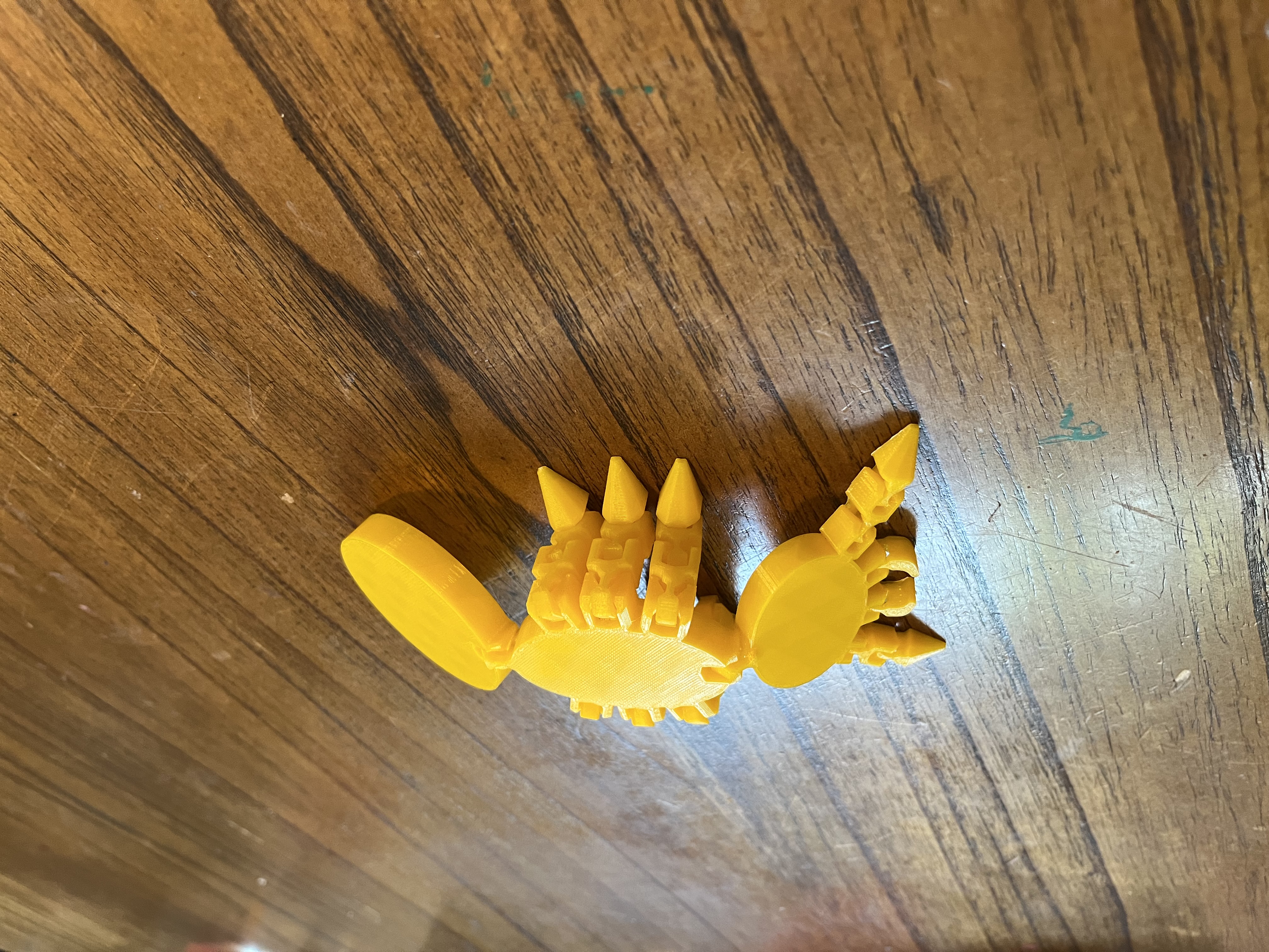 Flexi Ant Print in place