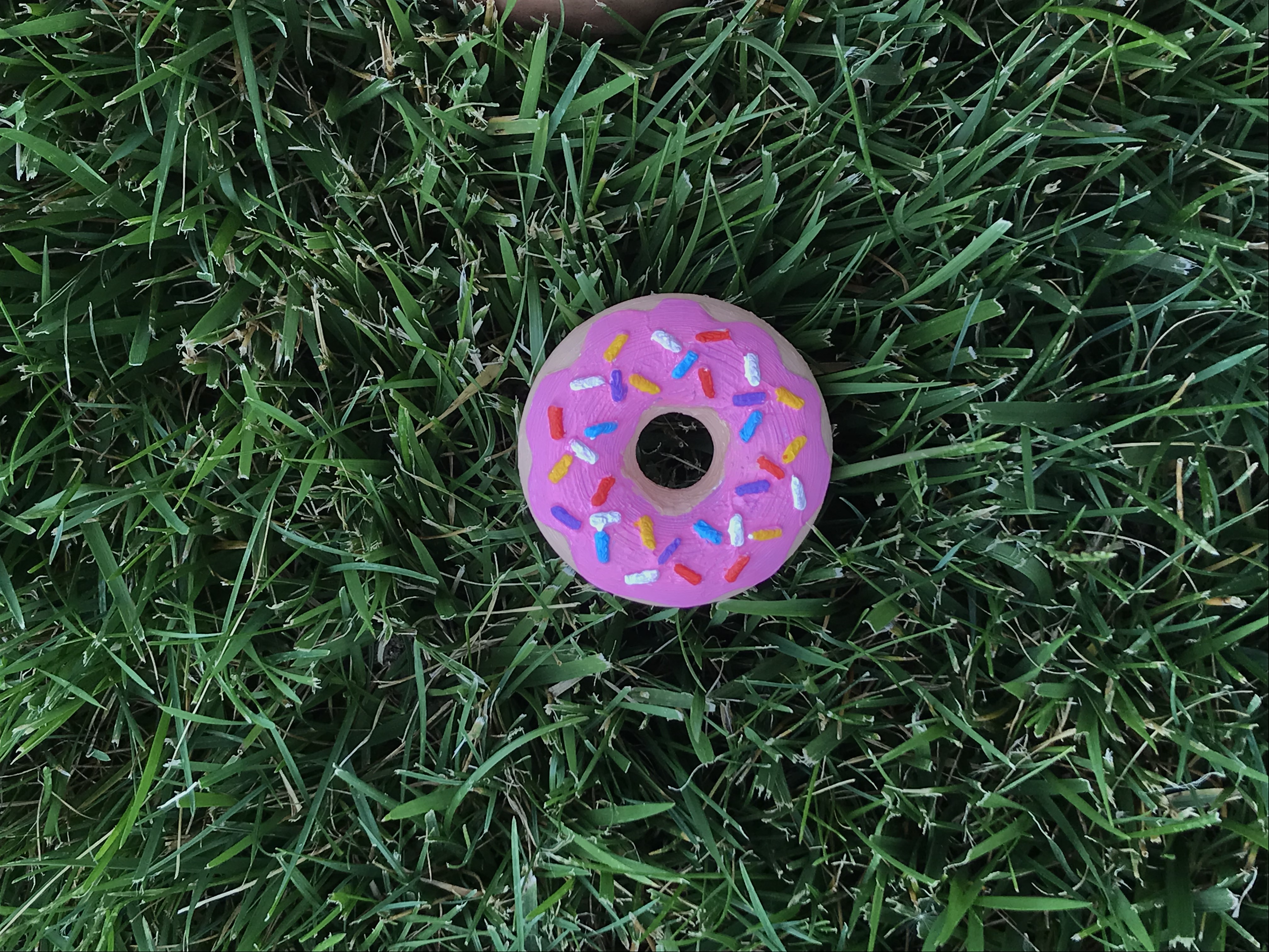 cute doughnut