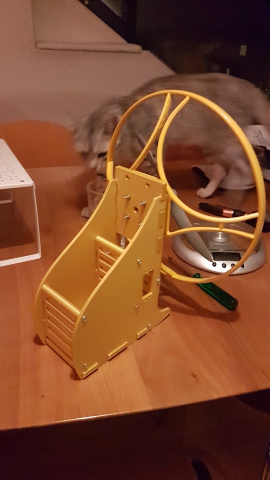 RC Paramotor - Goldener Reiter