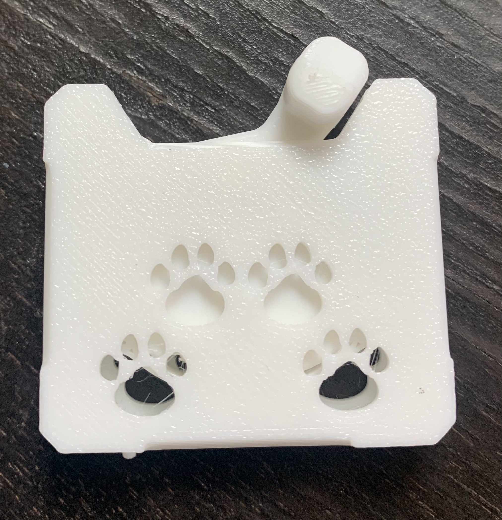 Fidget Clicking Wheel 2.0 with Pawprint Case by alexfp64 Download