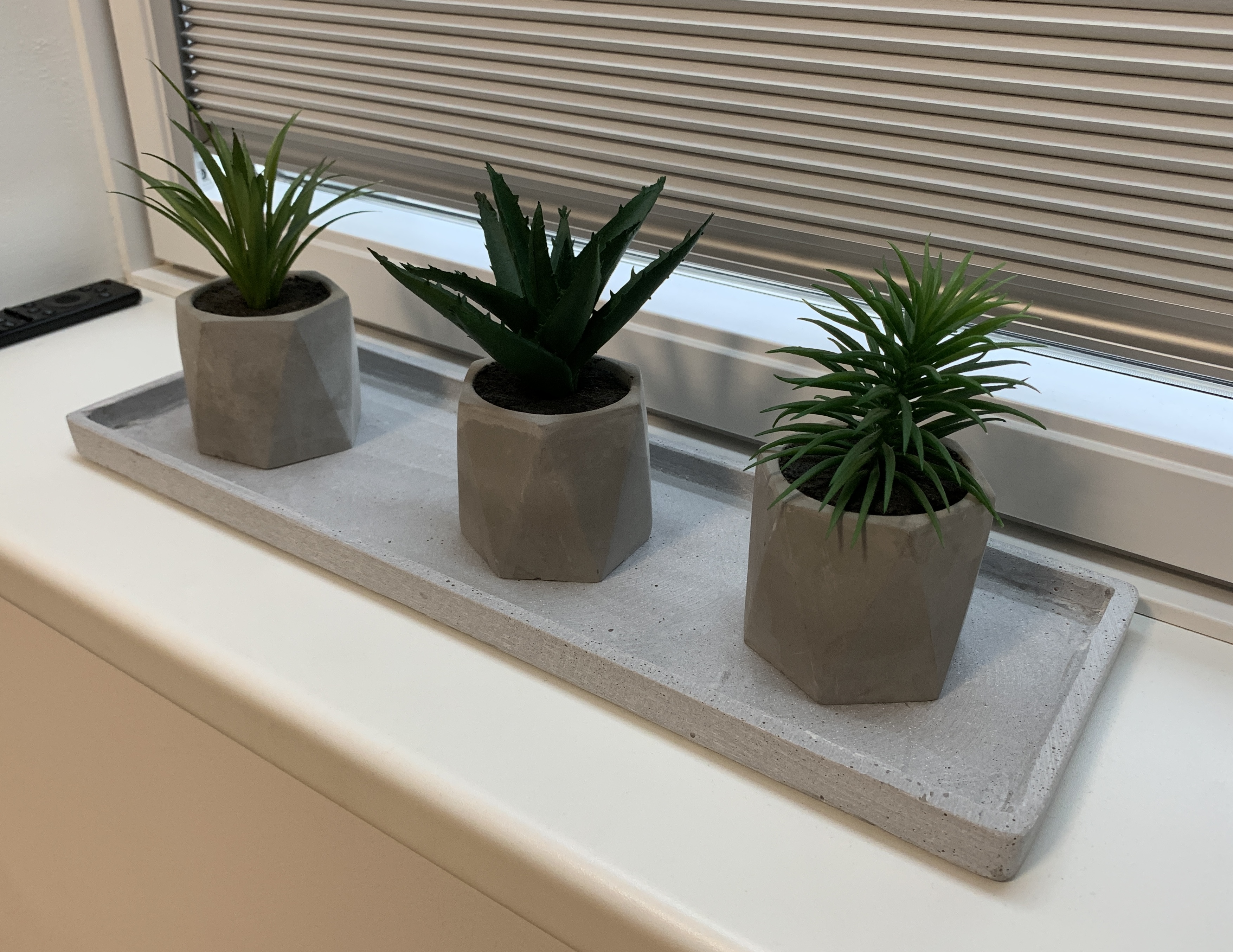Modern Planter