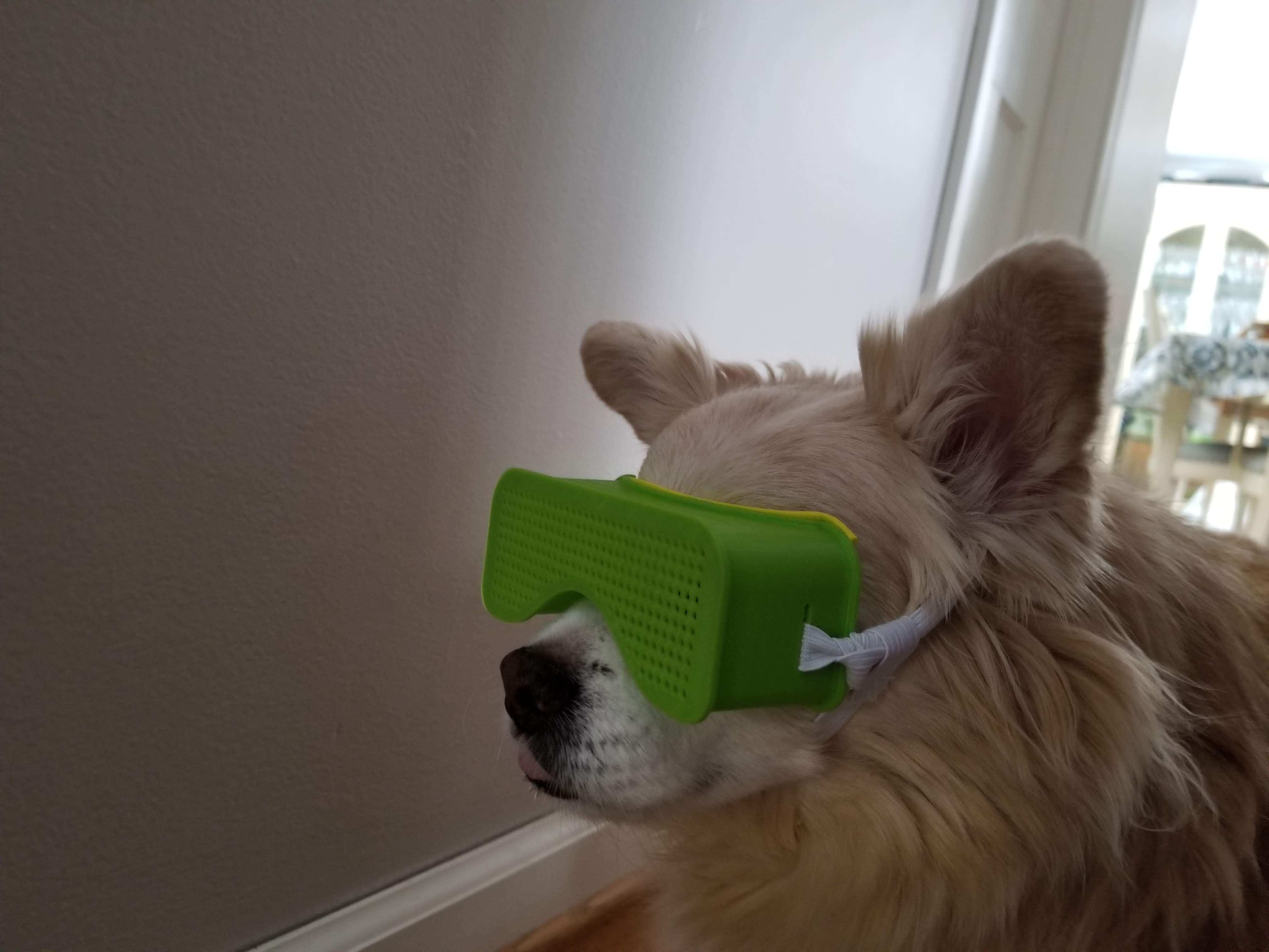 Blind Dog Goggles