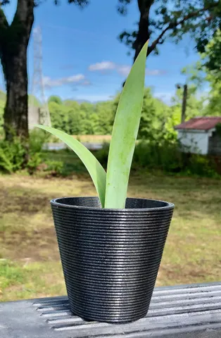 Simple Flowerpot