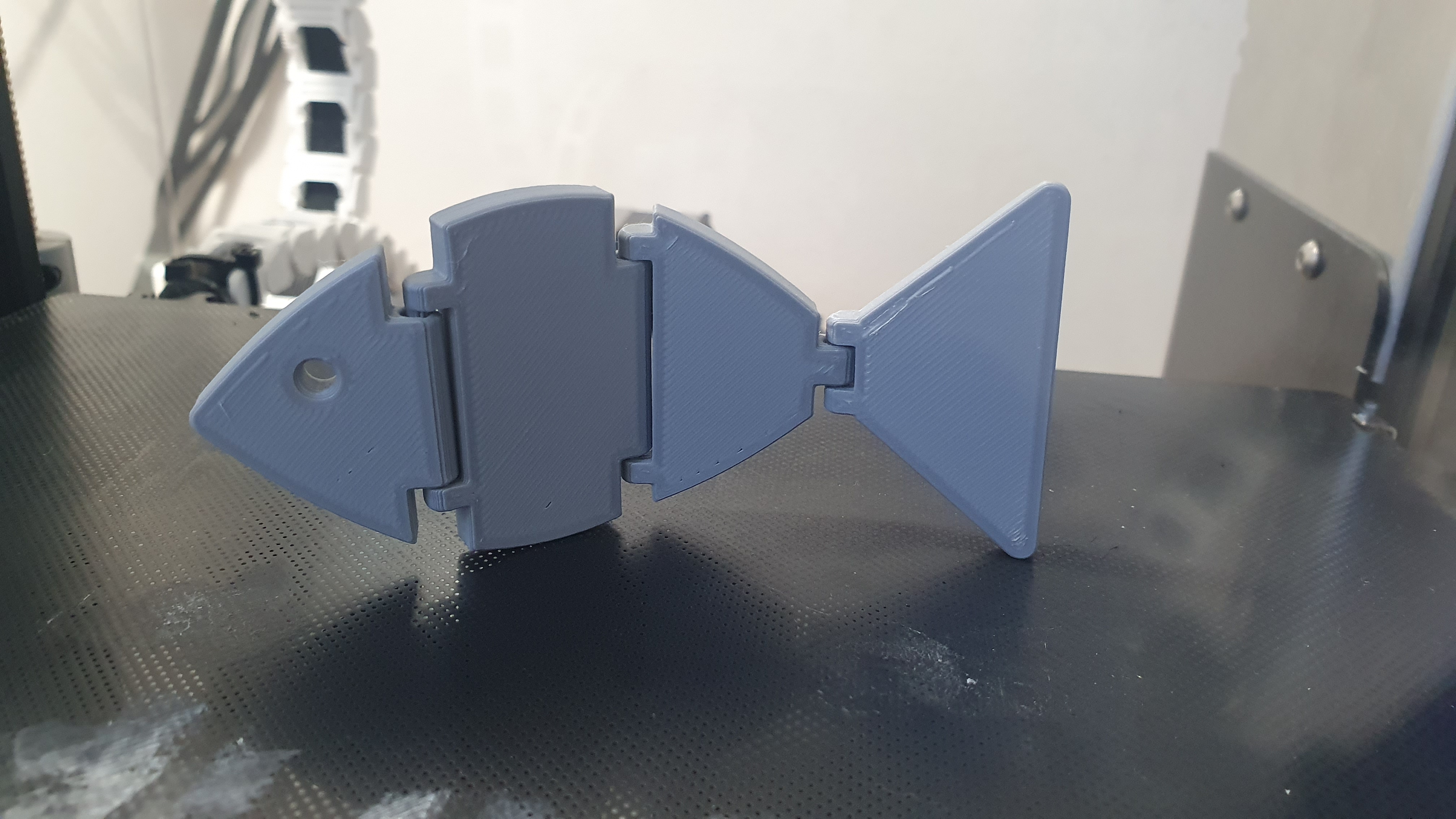 Flexible Fish