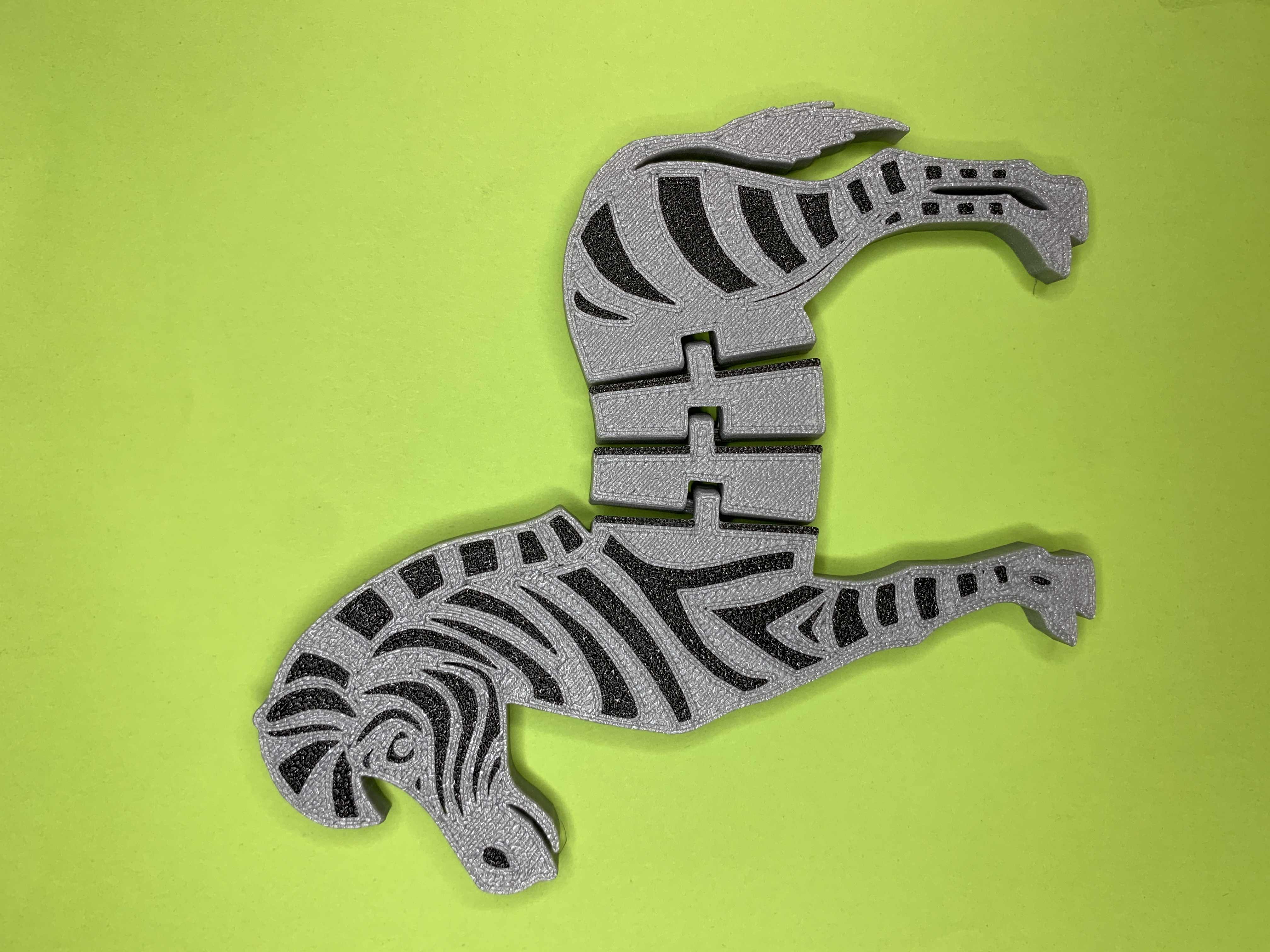 Flexi Zebra multicolor