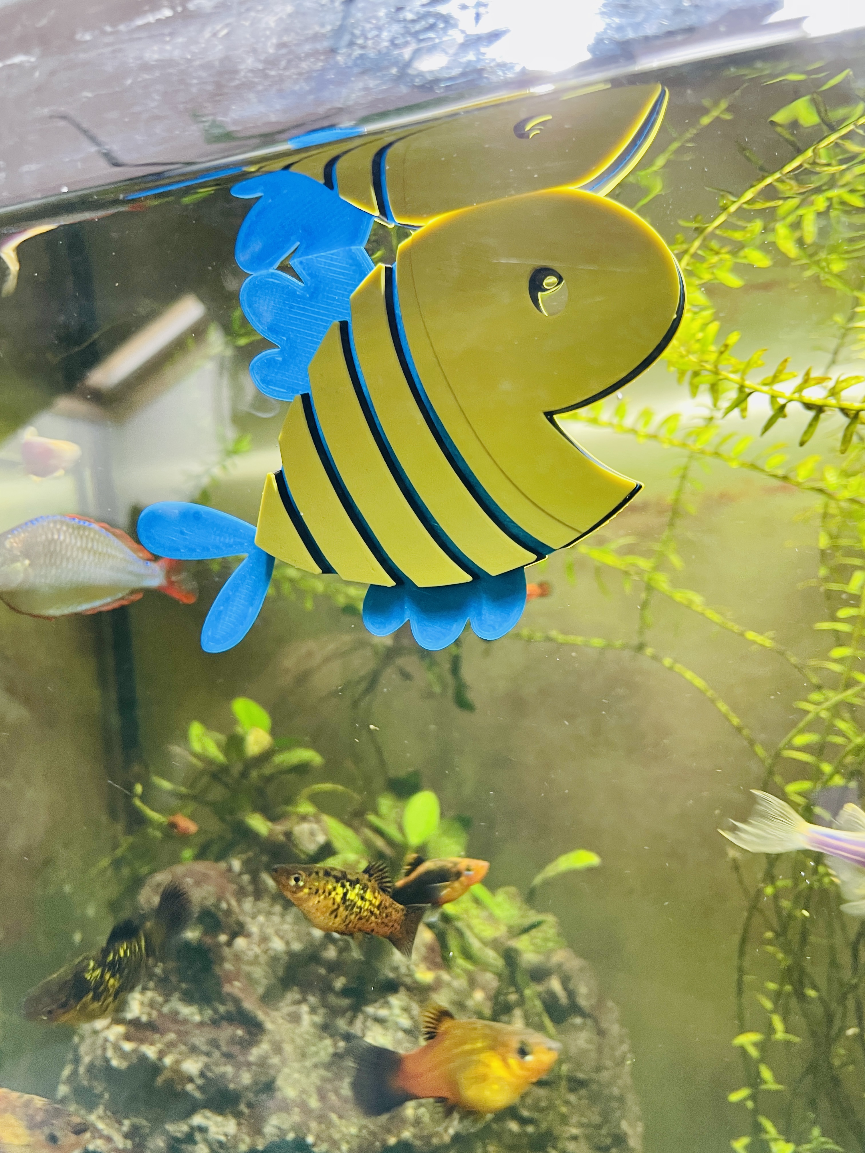 Floaty Flexi Happy Fish