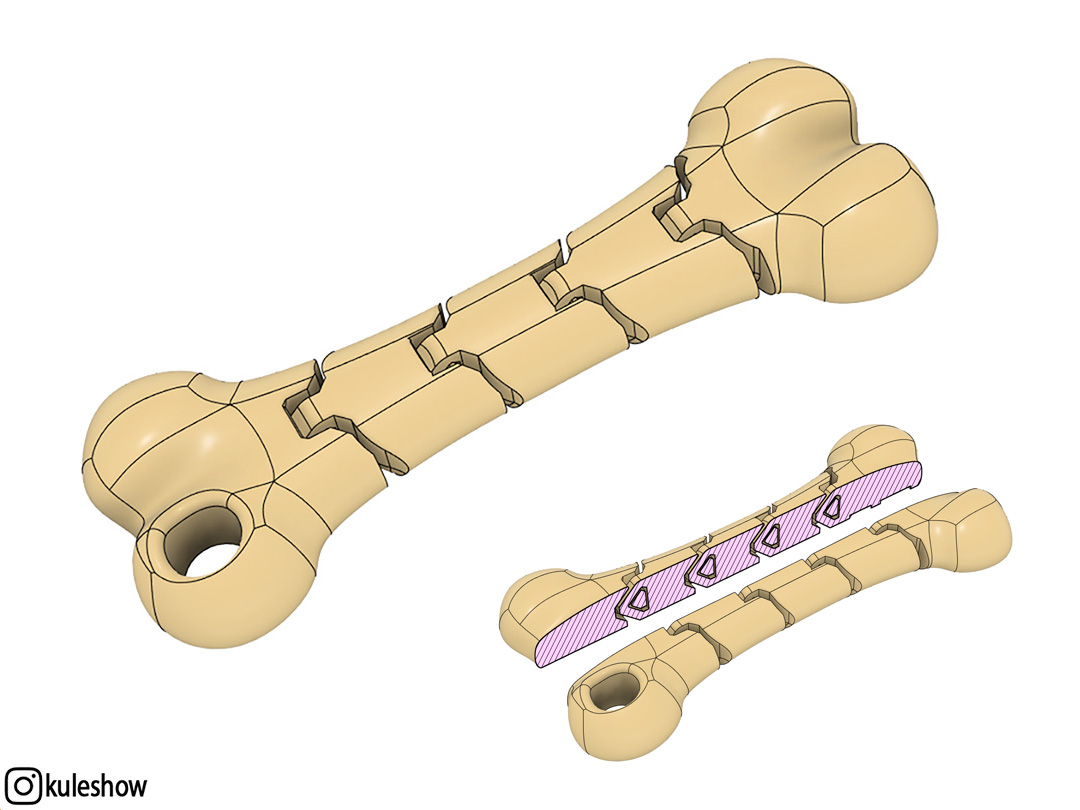 Miniatura 2 do modelo 3D Flexible Bone keychain