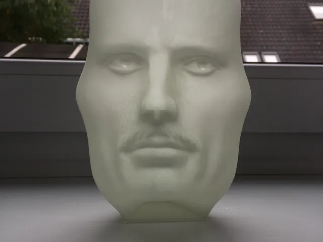 The Vase Face - Hollow Face Illusion  - Tesla / Einstein