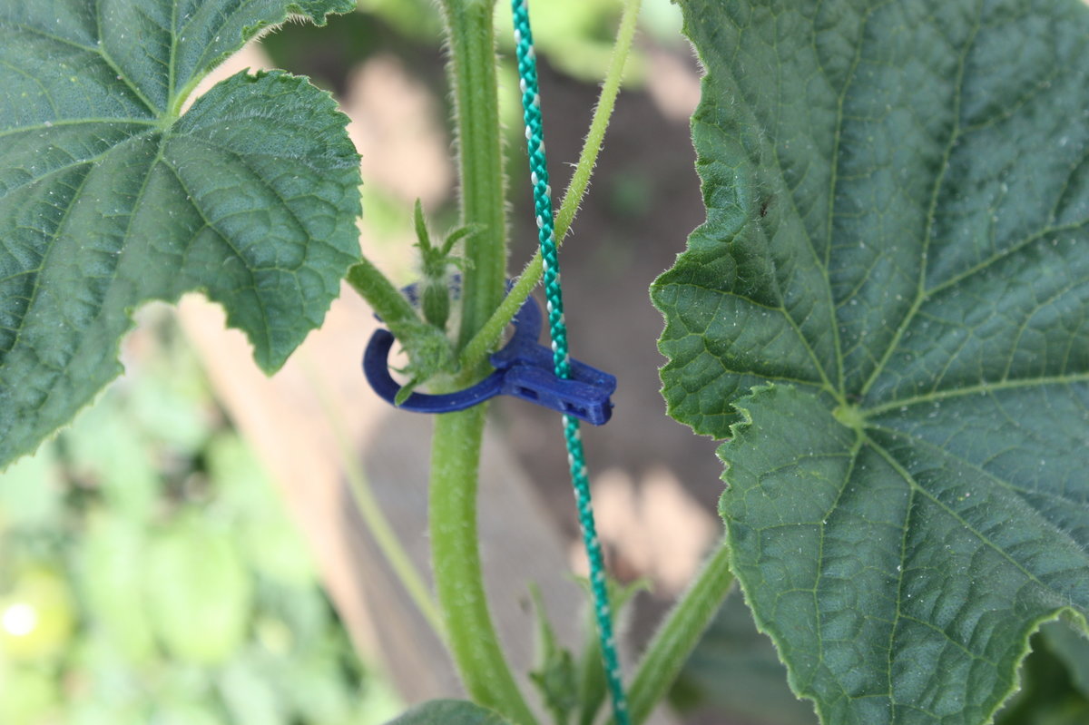 2-Side cucumber Plant Wire Grow Clamp