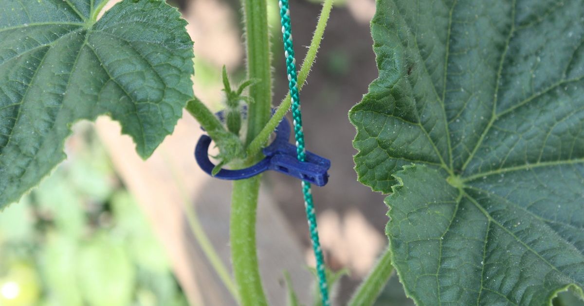 2-Side cucumber Plant Wire Grow Clamp by Magig_I3Prusa