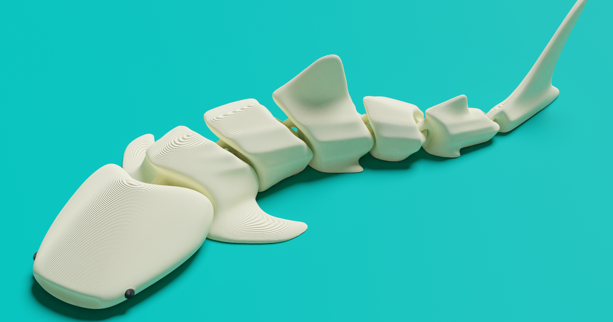 Lotus365 Betting Platform: Features, Benefits & Why It Stands Out In 2024