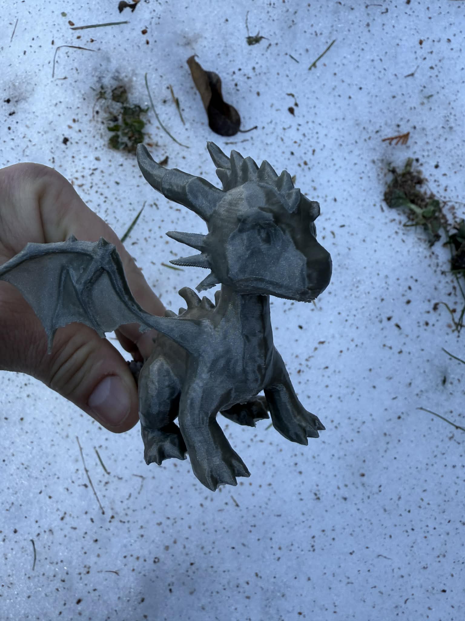 Winter Dragon young, dráček