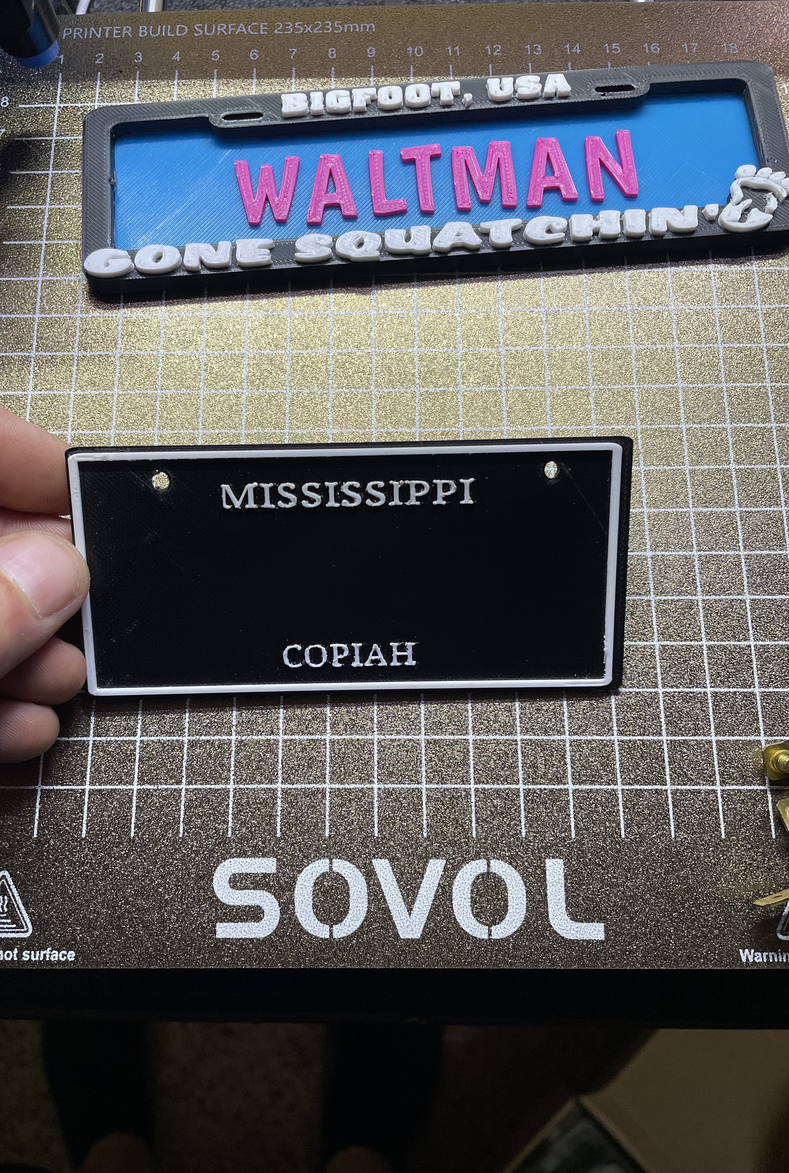 Mississippi PowerWheels/Bike License Plate.