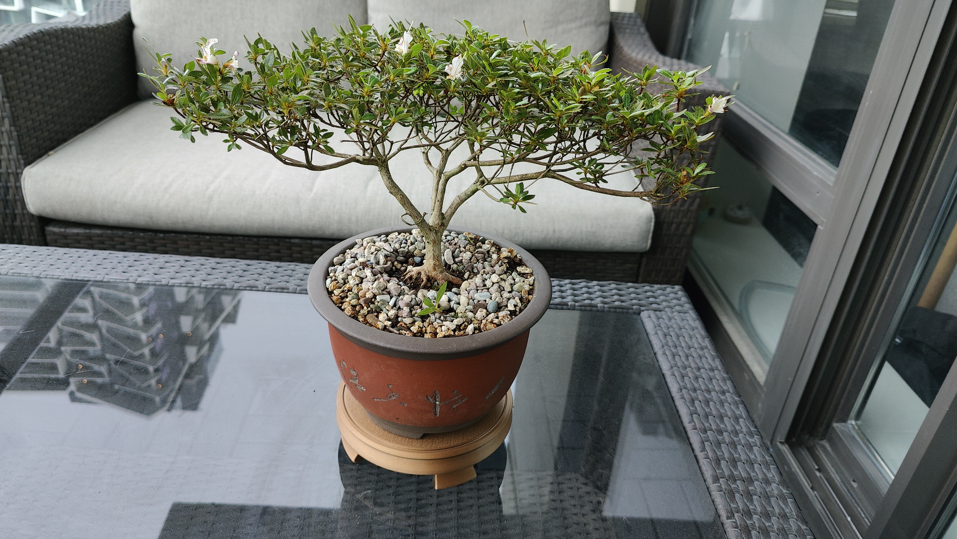 Round Bonsai Display Table