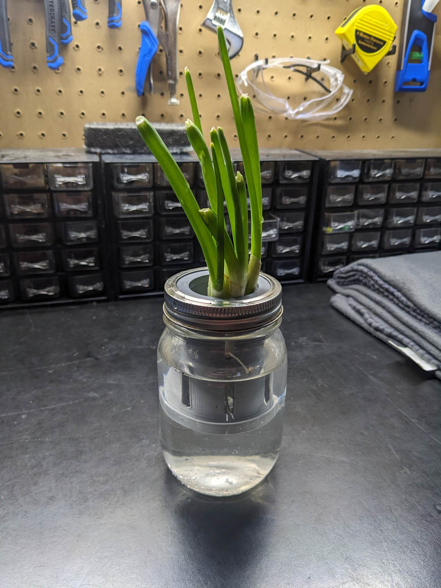 Mason Jar Plant Starter By Collin Download Free STL Model mason-jar-plant-starter-by-collin-download-free-stl-model