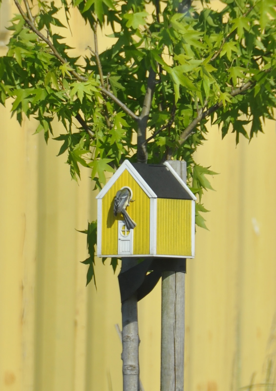 Miniatura 7 do modelo 3D Bird house