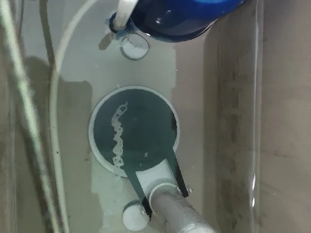 Toilet Flapper Replacement