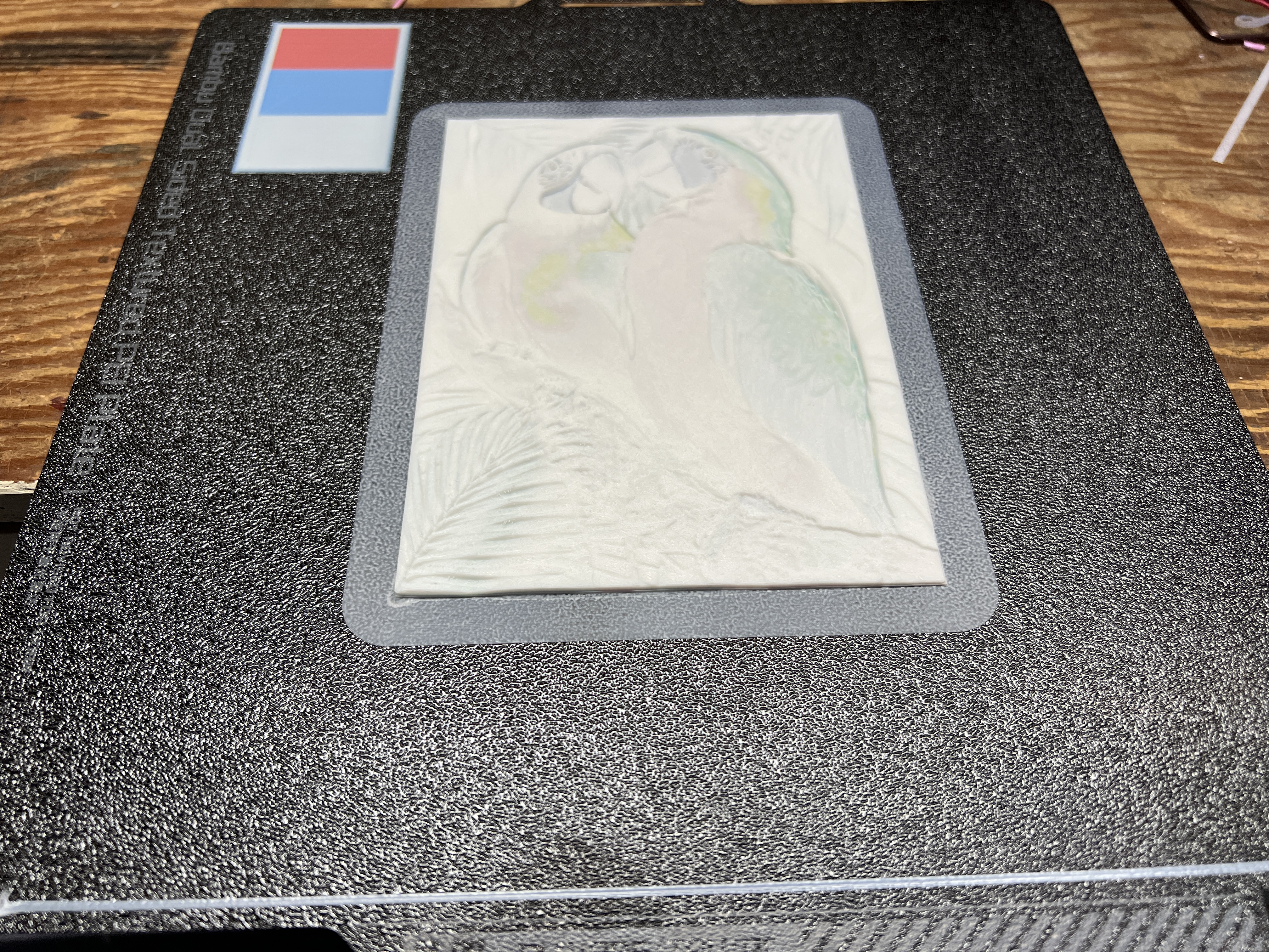 Miniatura 2 do modelo 3D Bambu Color Litho Sample Prints