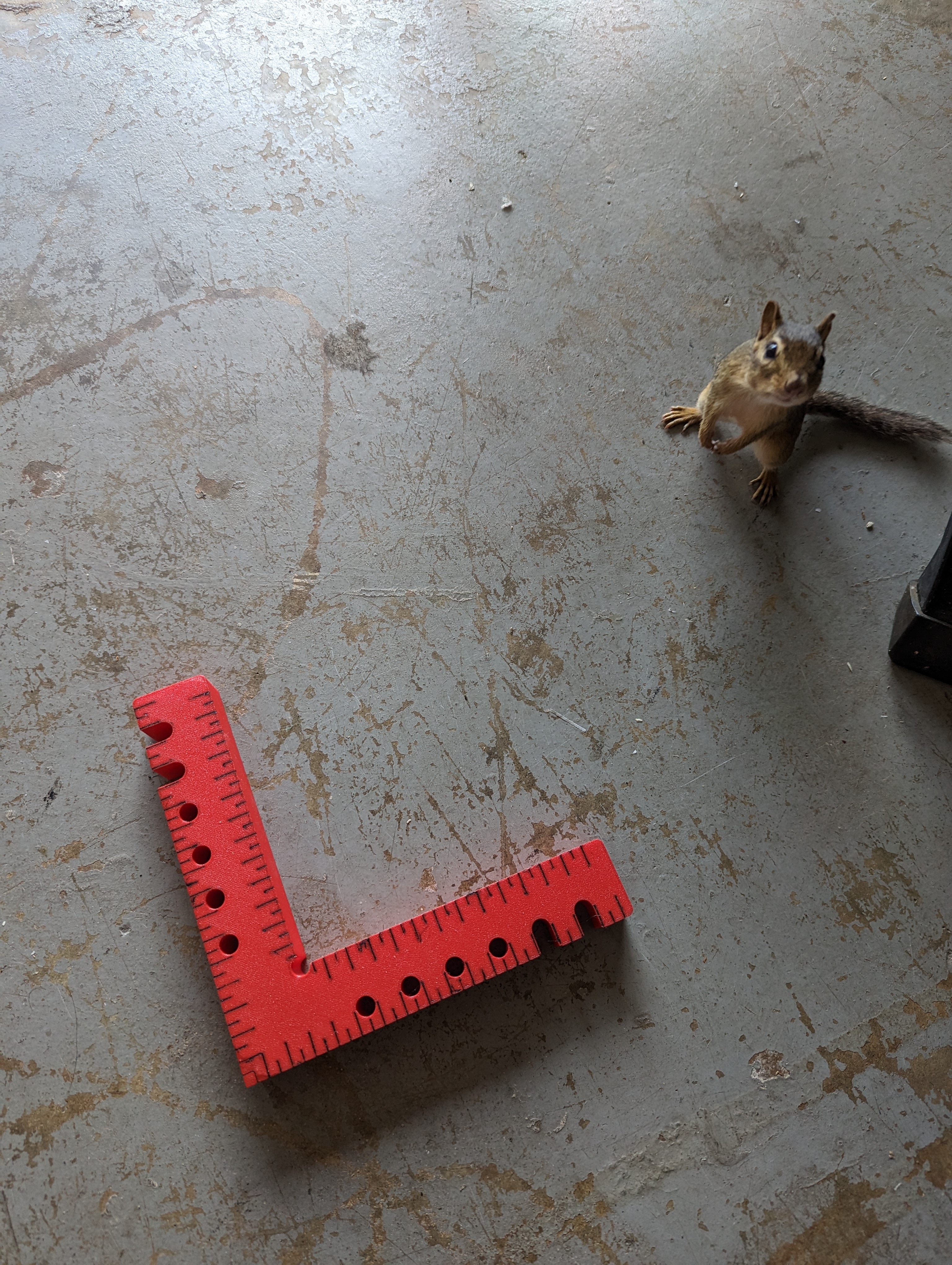 Miniatura 12 do modelo 3D Wood Square Clamp