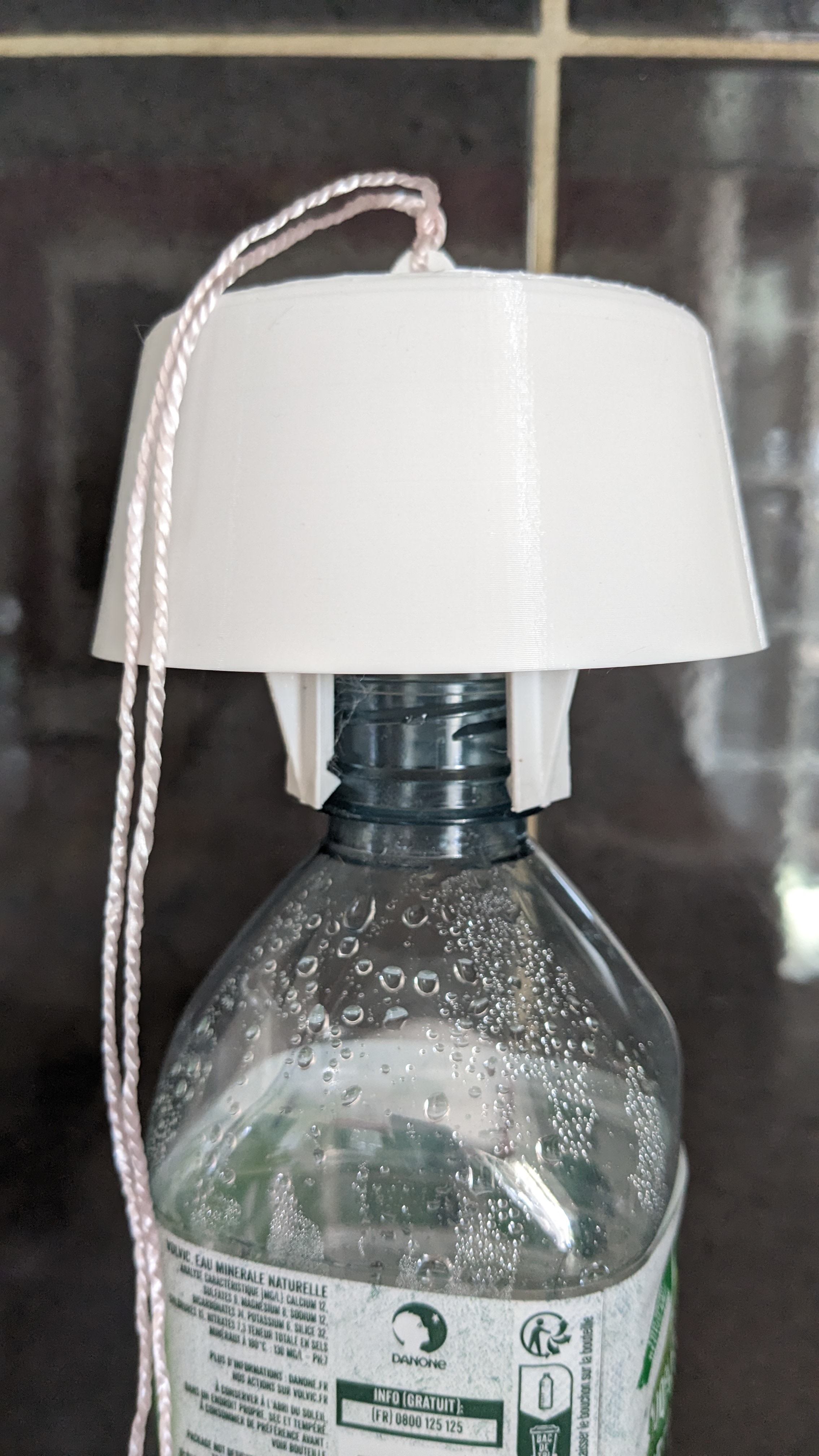 wasp trap