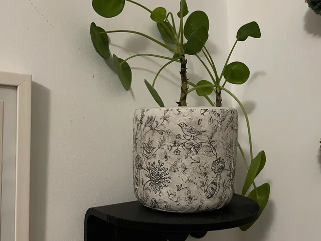 Siliy Plant Shelf pt.2 – Command Strips