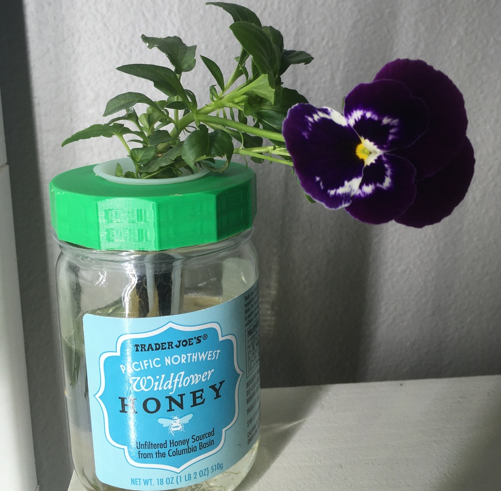 Regular Mouth Mason Jar Lid for Aerogarden Pod