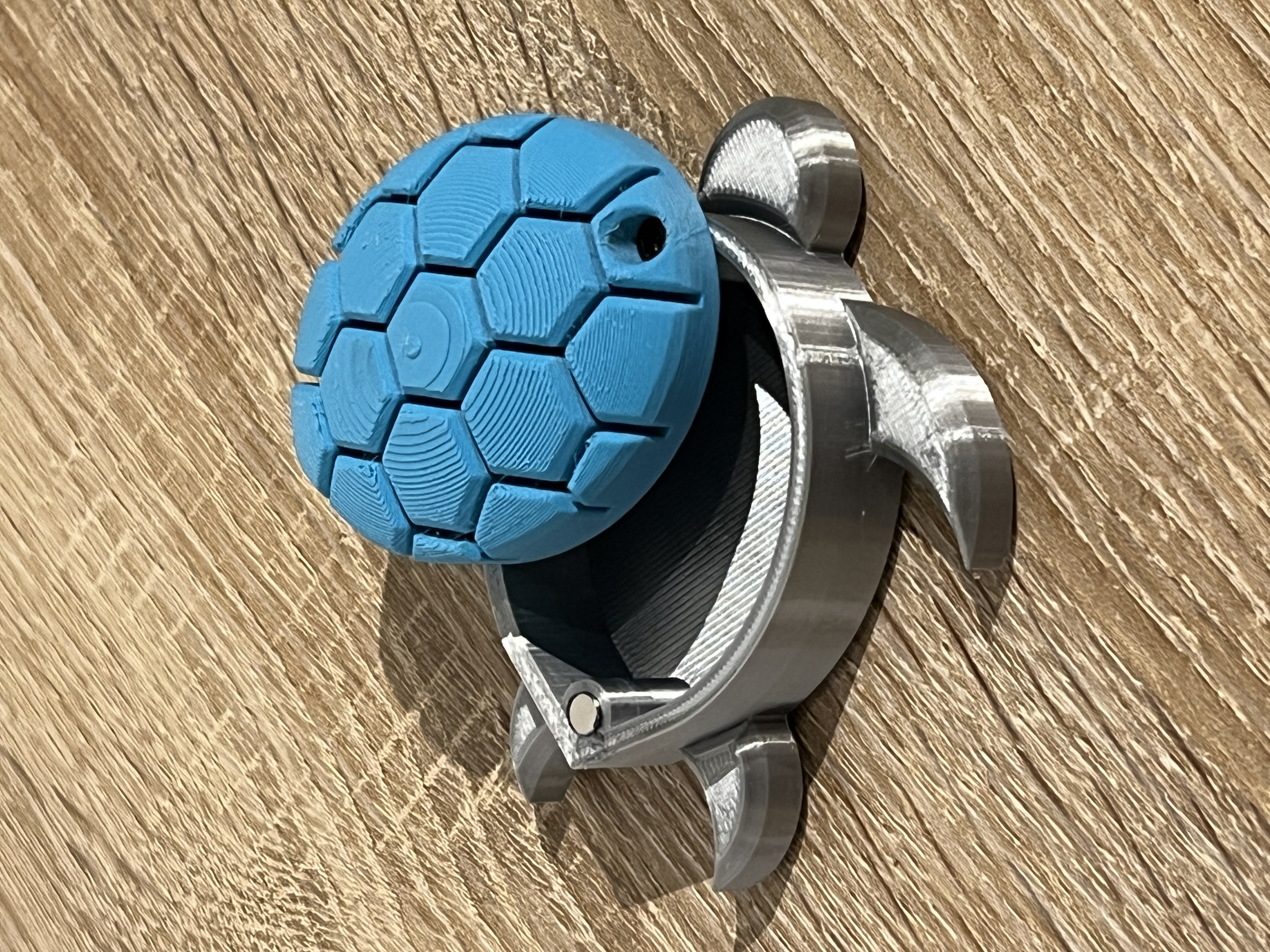 Sea Turtle With A Secret Box