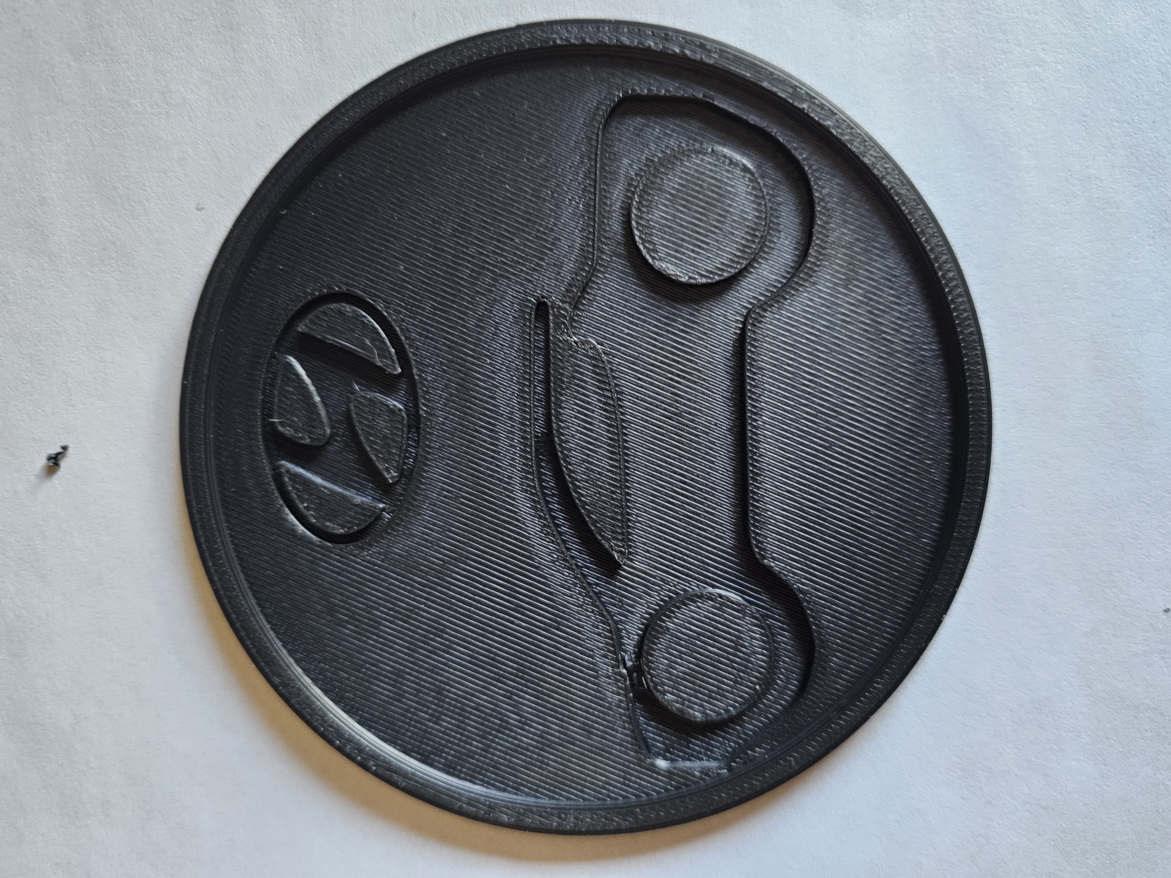 Hyundai Santa Cruz Coasters