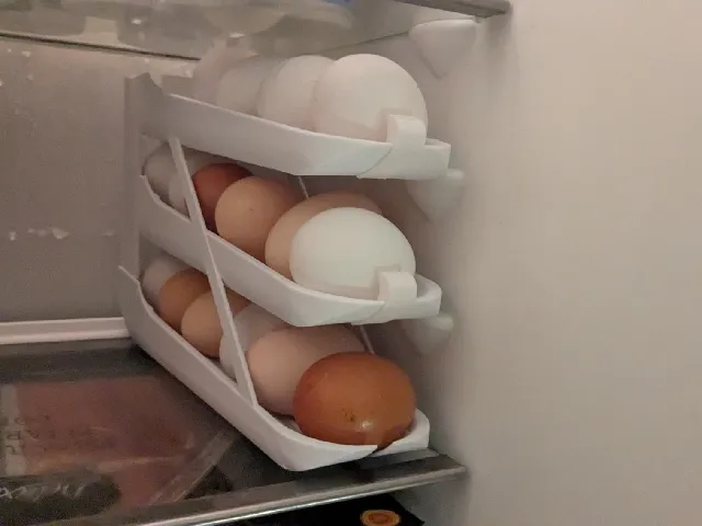 Egg rotary Dispenser