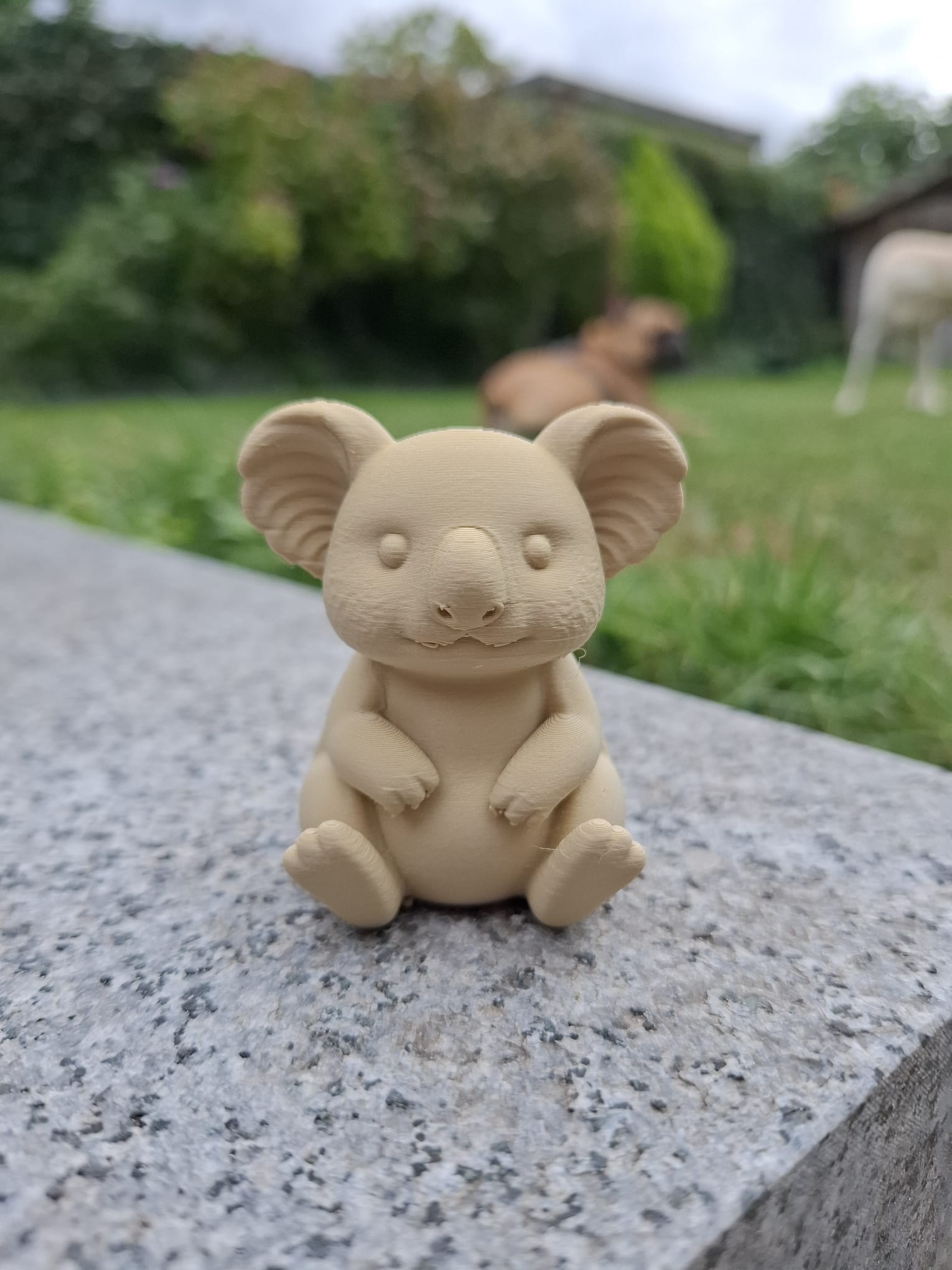 Koala Buddy — miniatura 2