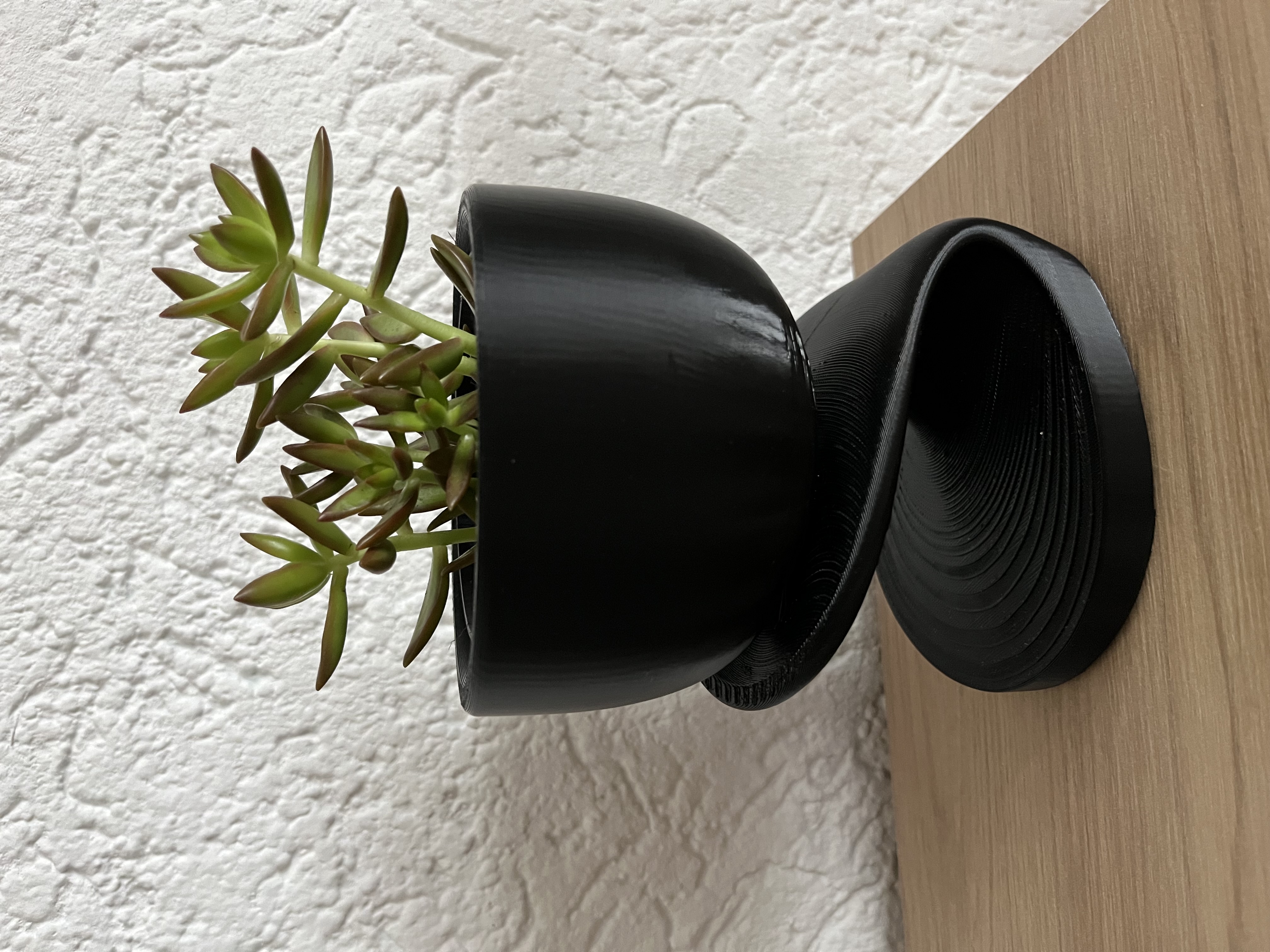 Spiral Plant Pot — thumbnail 14