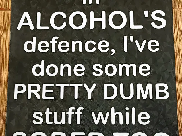 Funny Sign - "in Alcohols defence, I've done some Pretty Dumb stuff while Sober too"