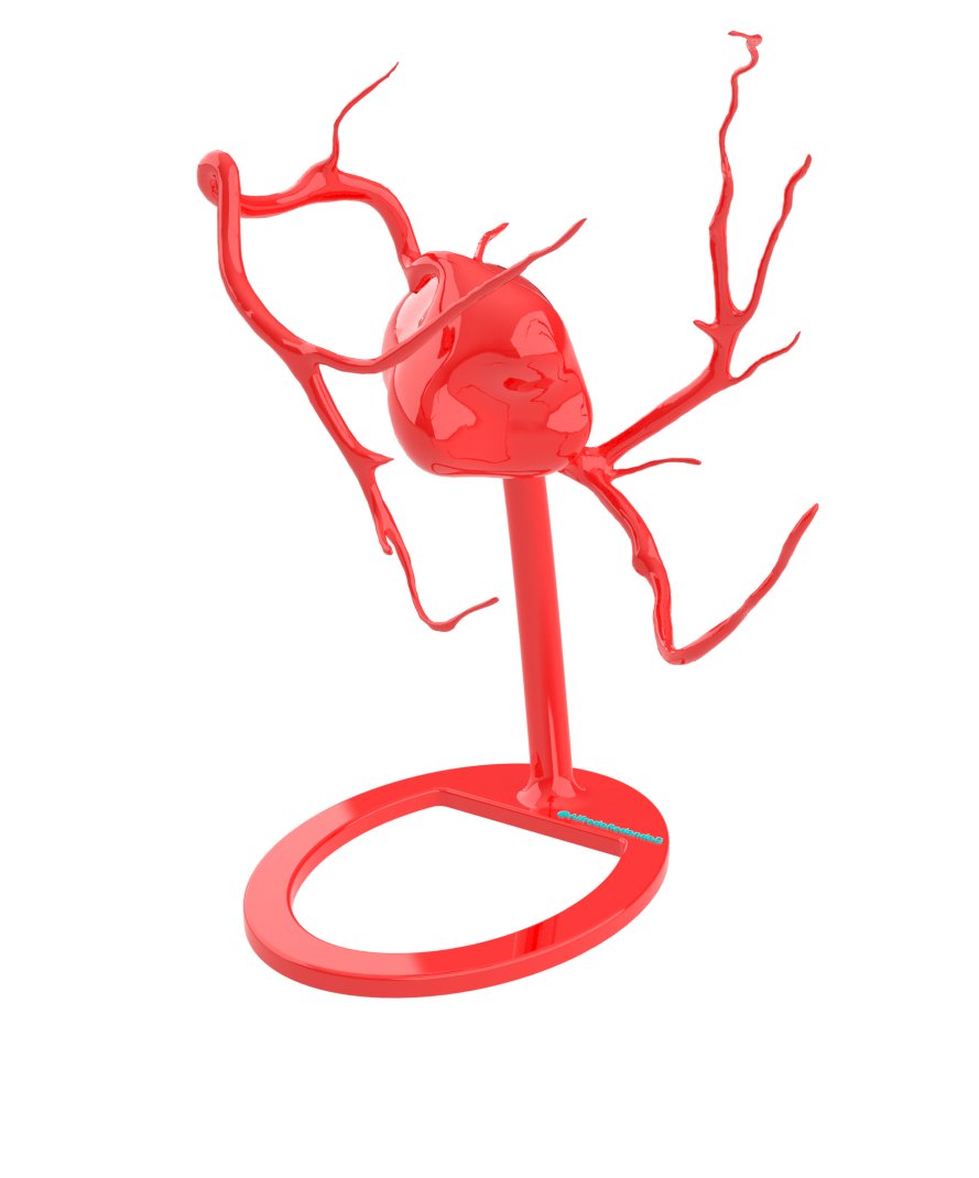 Coronary artery anatomy
