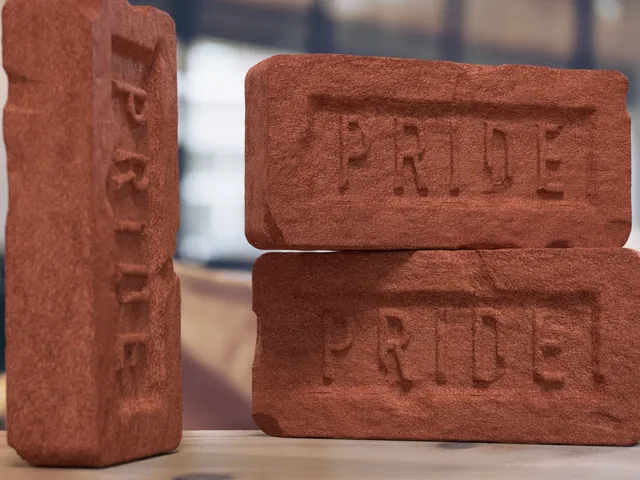 Pride Brick with Battle Damage - Embrace the Triumph of Identity