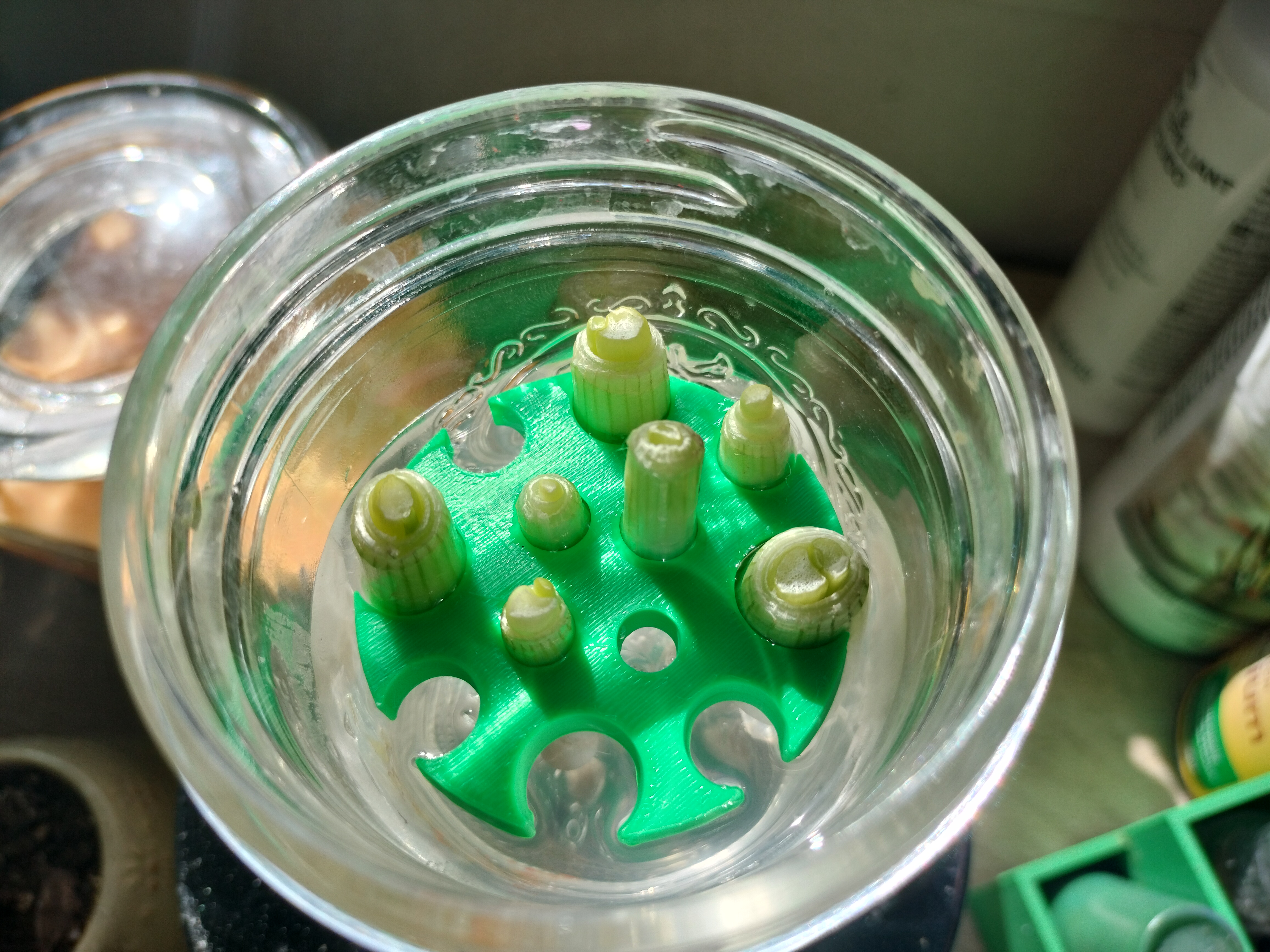 Green Onion Propagtion Raft (WIP)