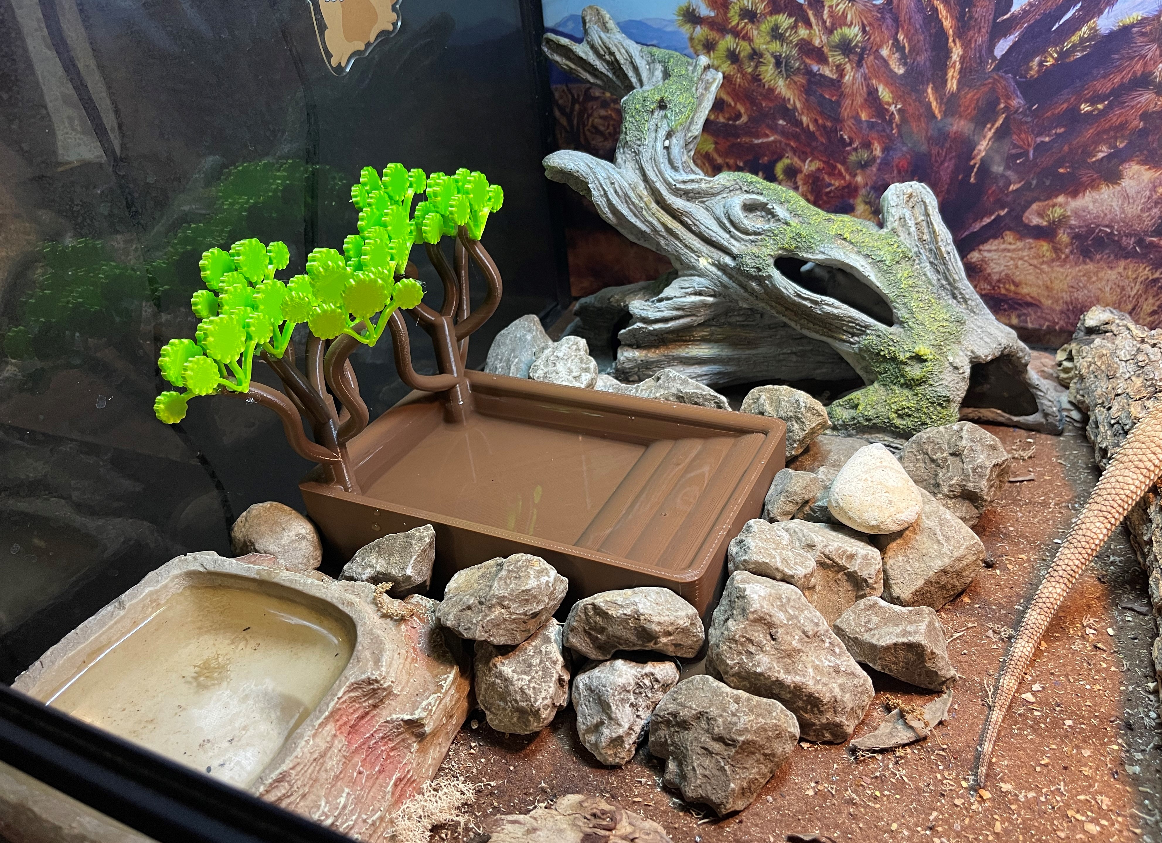 Reptile Pool with Shade Trees Built in