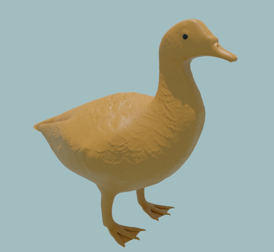 Muscovy duck by Gious Download free STL model